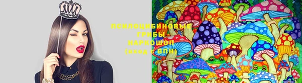 ECSTASY Кинешма