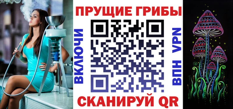 Псилоцибиновые грибы Psilocybe  наркота  Темрюк 